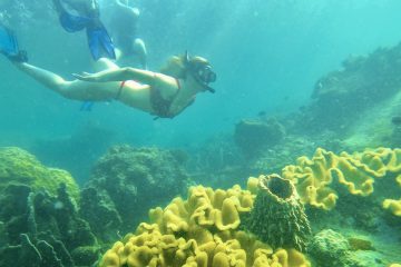 Half-moon Reef, Phu Quoc Snorkeling