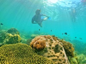 The best snorkeling & diving spots in Phu Quoc Island, Vietnam