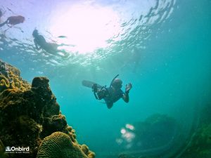 Top snorkeling trip in Phu Quoc Island to see corals and marine life