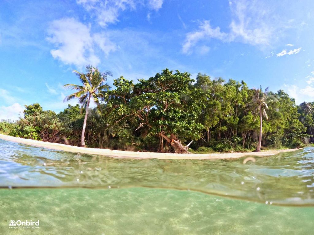 Erweiterte Informationen über die Wetterbedingungen auf der Insel Phu Quoc, Vietnam, das ganze Jahr über